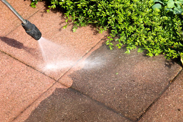 Deck Cleaning Services in Brightwood, VA